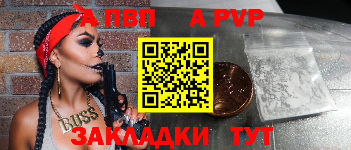 A PVP СК КРИС Сургут