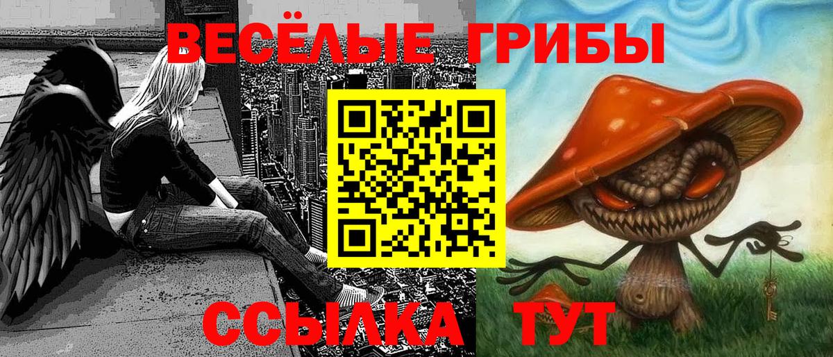 Галлюциногенные грибы Psilocybe Сургут