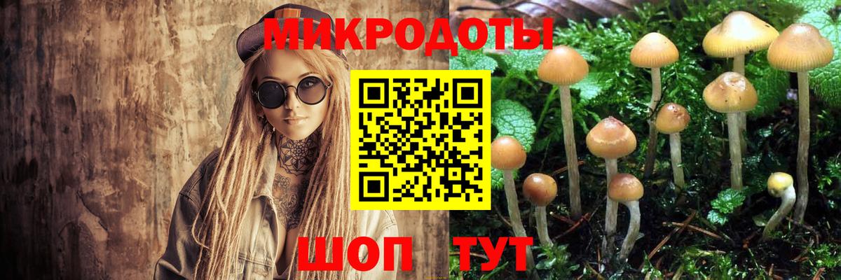 Псилоцибиновые грибы мухоморы  Вход с VPN  купить   Сургут  Галлюциногенные грибы мицелий 