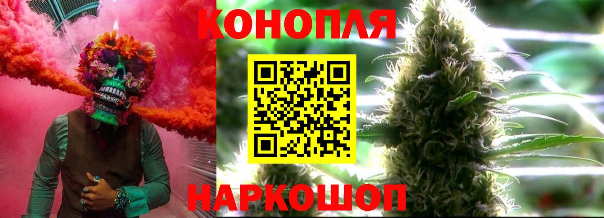 Бошки Шишки гибрид Сургут